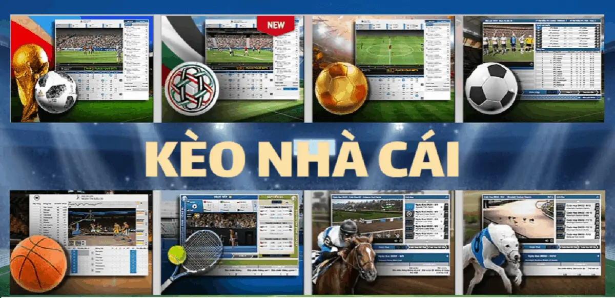 Cách nhà cái ra kèo cá cược bóng đá 